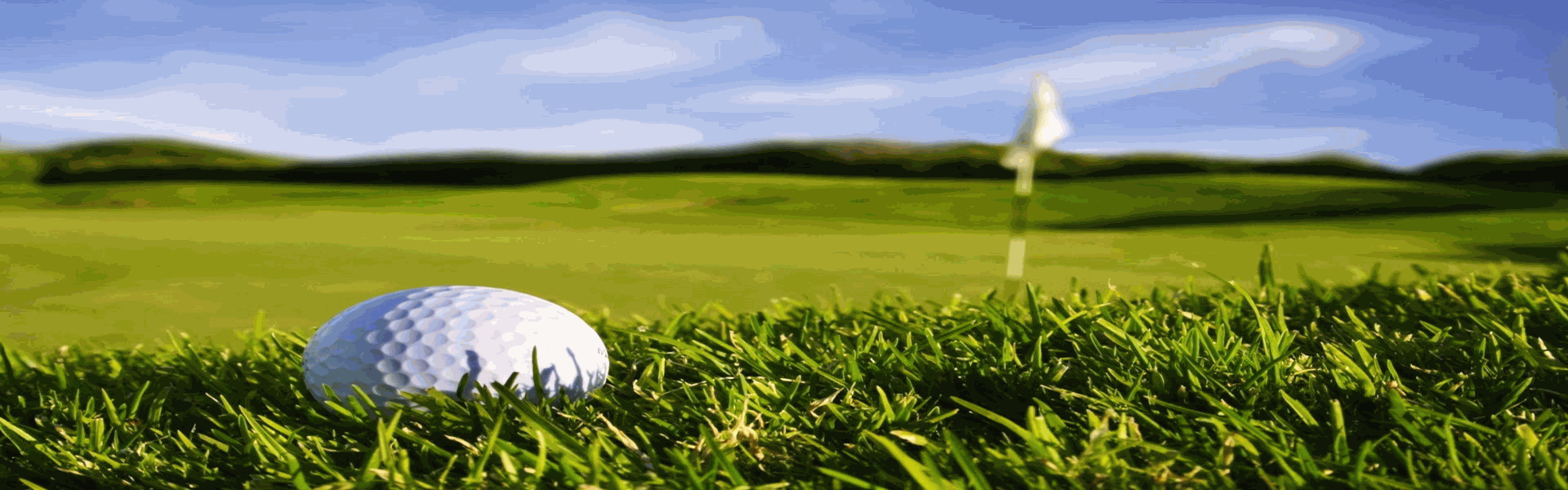 banner-1